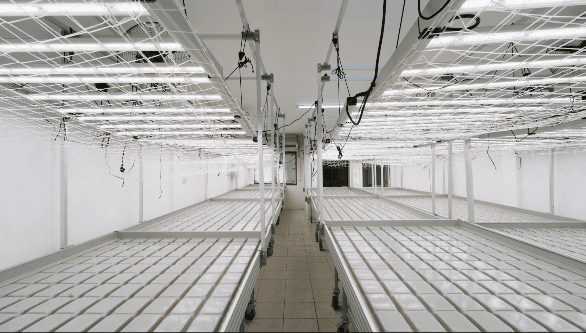 Premium Cannabis Facility